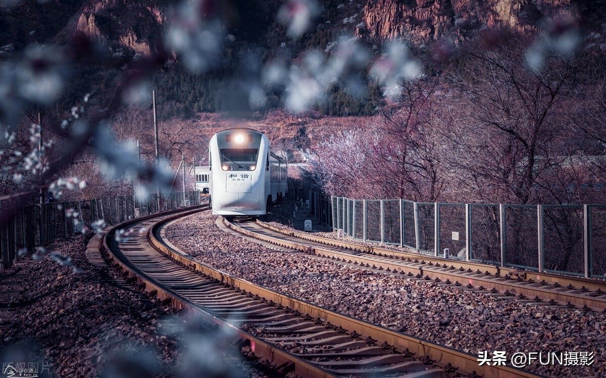 学摄影必看的9大技巧汇总,必须掌握的12条摄影法则