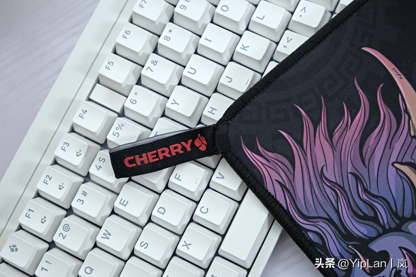 cherry澶栬鎺ㄨ崘,cherry澶栬鍜嬫牱