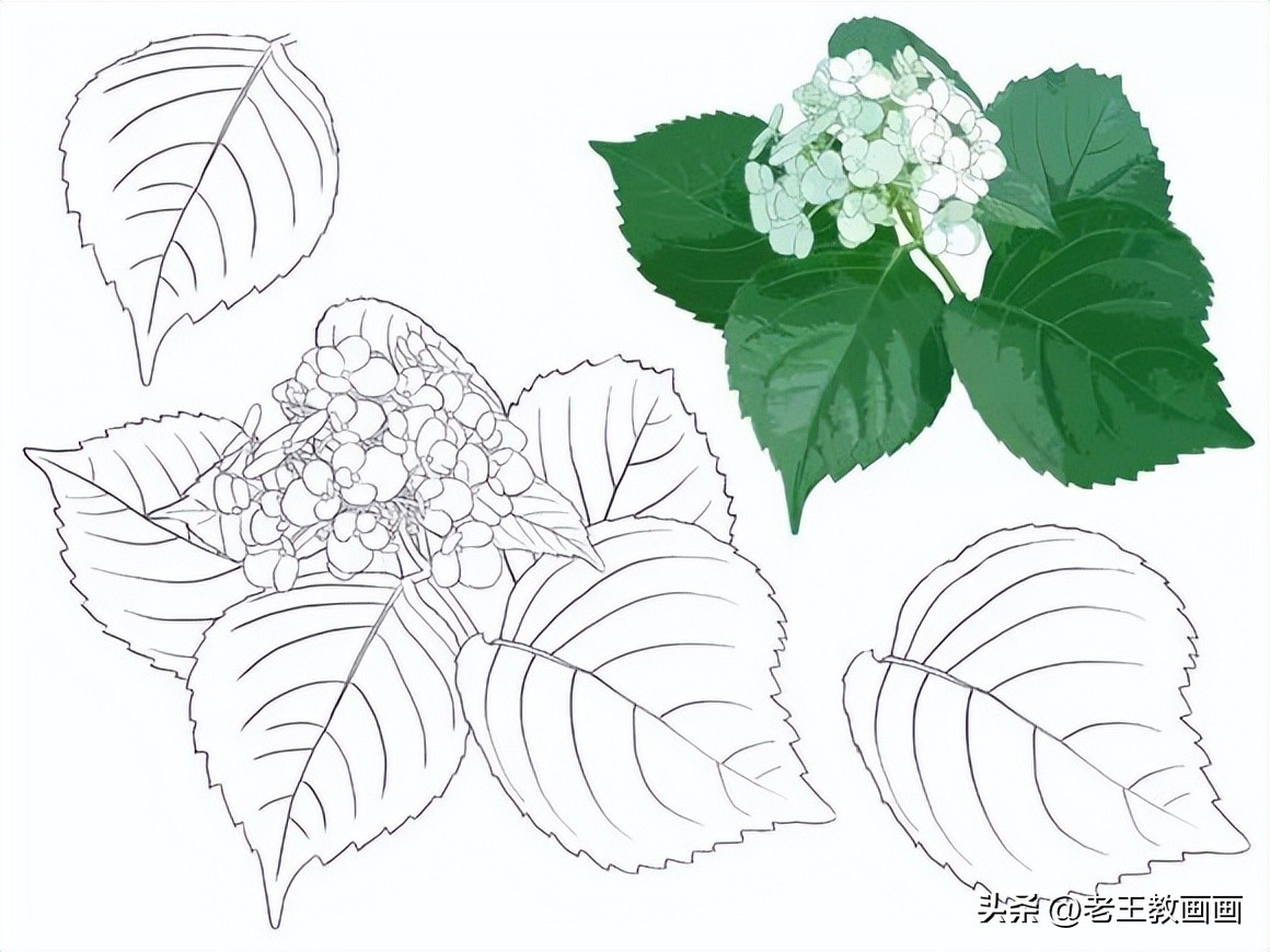 100种绘画基础入门,100幅零基础绘画教程