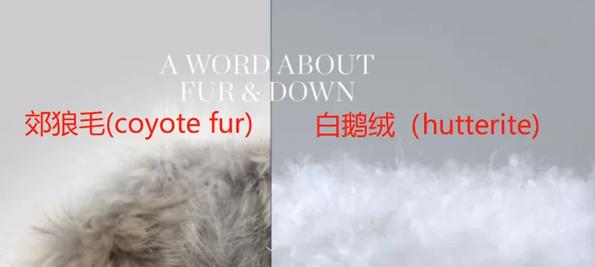 加拿大鹅亏损事件,加拿大鹅被曝虚假宣传