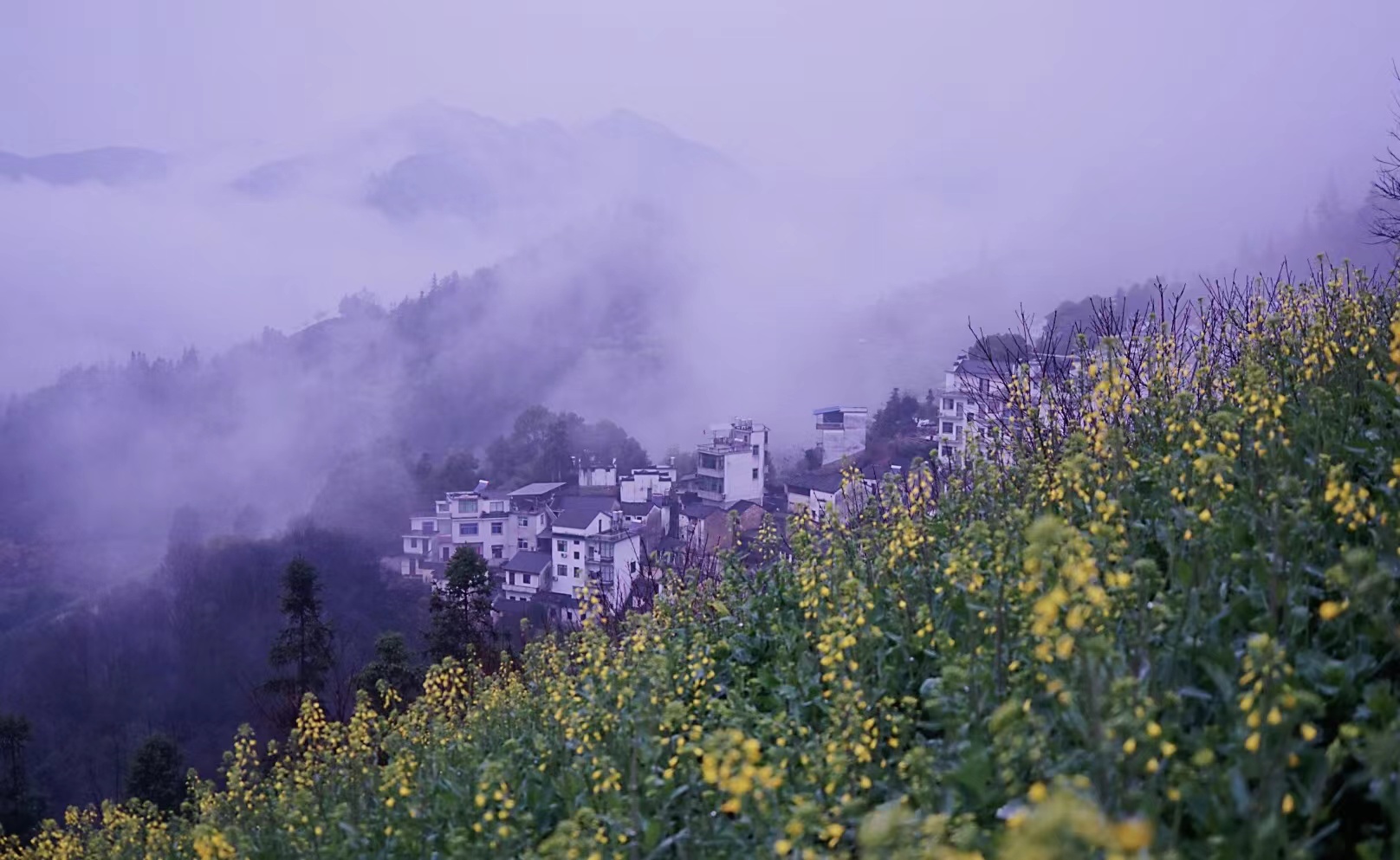 自驾免费看云海的好地方,江浙沪最美自驾公路西山