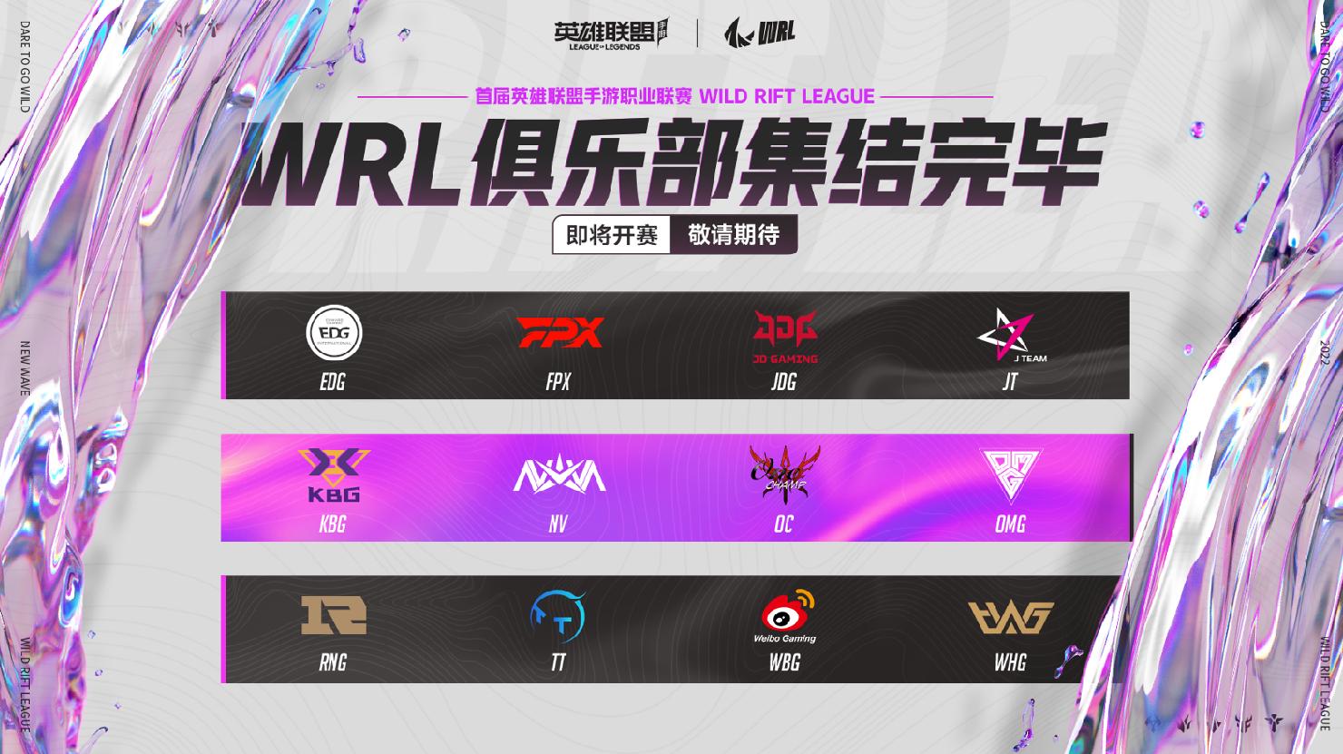 英雄联盟手游2024职业比赛时间,英雄联盟手游职业联赛最新视频