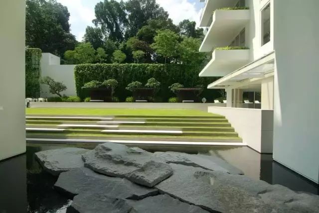 大山里捡回来的石头,大山里的石头块