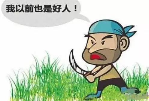 一见如故成语故事该怎么讲,成语一见如故的故事