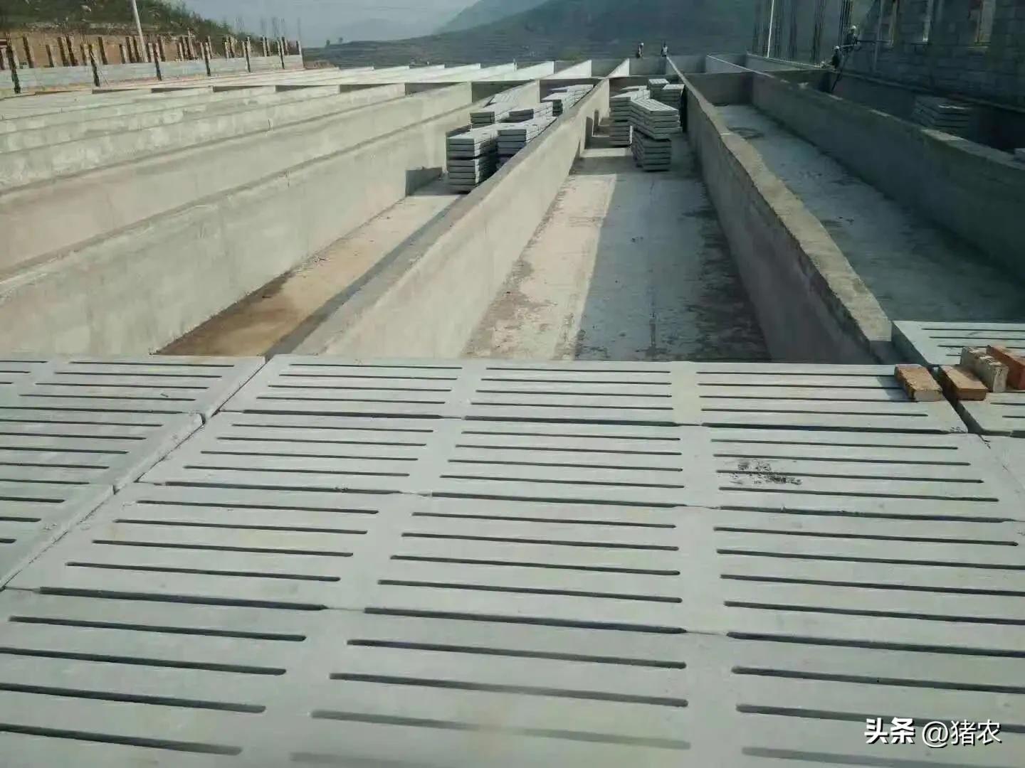 猪场专用漏粪板有什么好处,猪场漏粪板材质