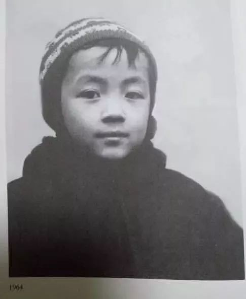 顾城杀妻自尽的原因,顾城杀妻自尽后