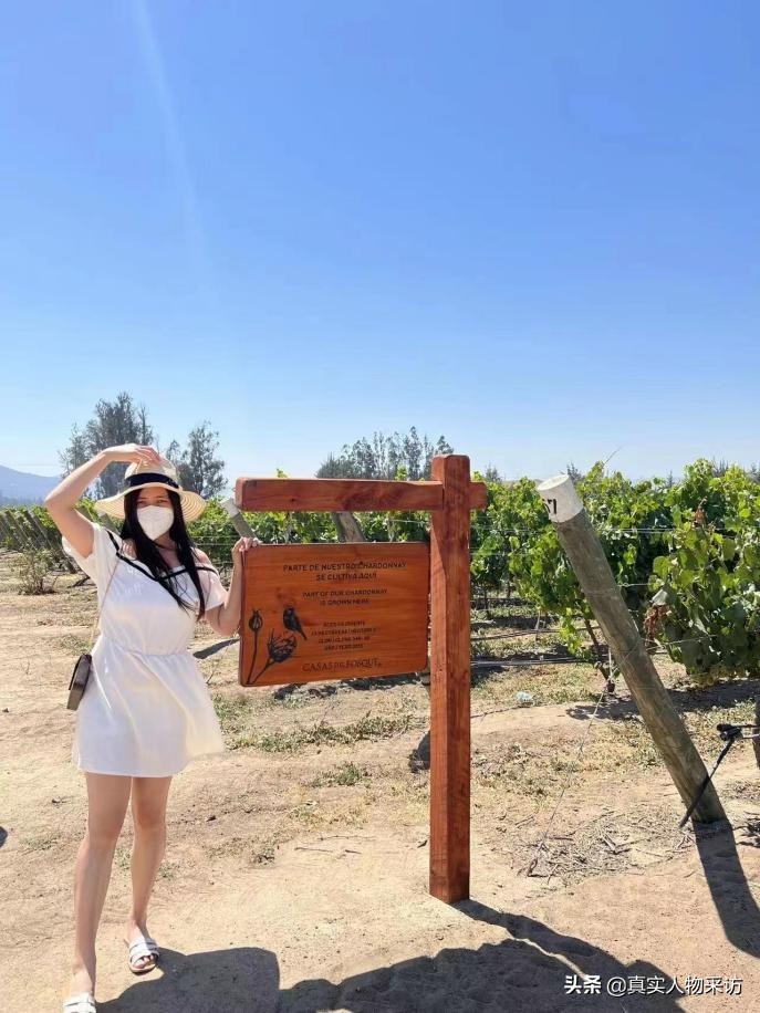 中国人在智利的治安怎么样,疫情去智利打工安全吗