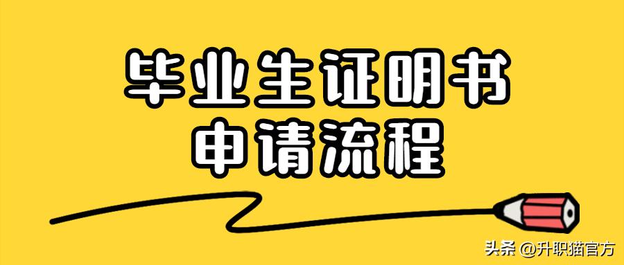 毕业证丢失了怎么补办流程,毕业证丢失了能补办吗该怎样补办