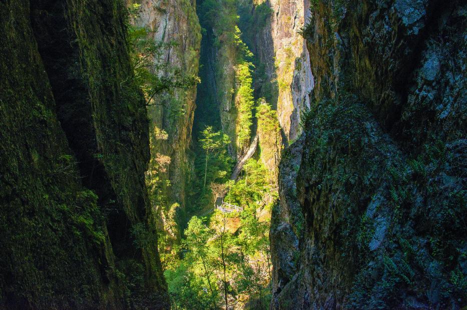 在温过大年！这几条“百县千碗”美食体验线路真的好吃又好玩