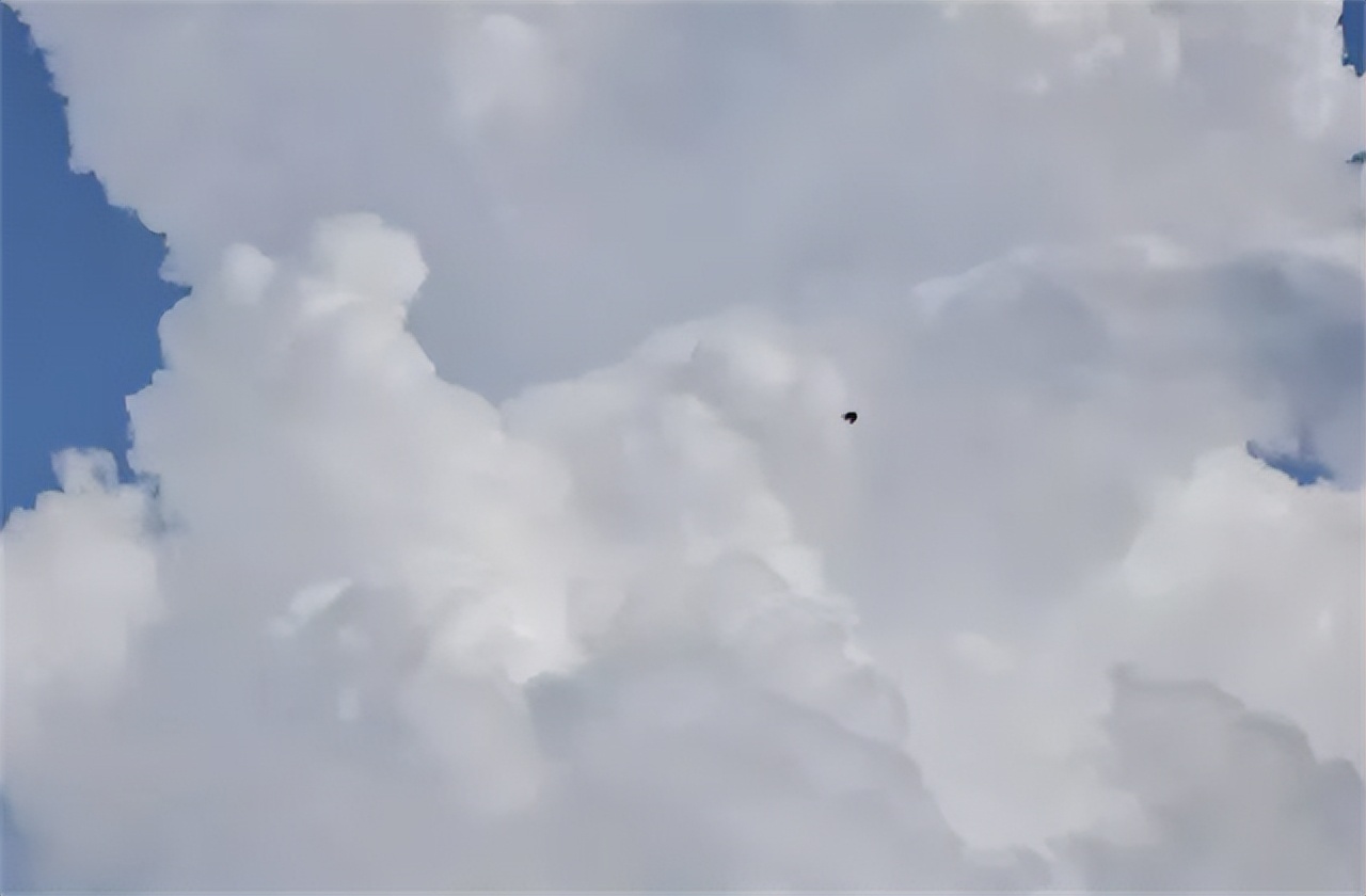 15岁白血病女孩的悲情心愿,4岁白血病女孩临死前说的话