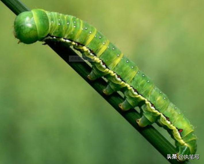 细思恐极冷知识：你害怕了吗？