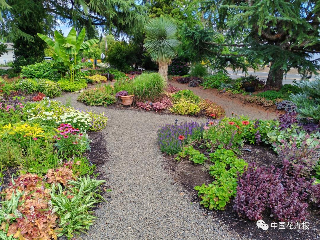 宿根花卉栽培,宿根花卉的栽培管理