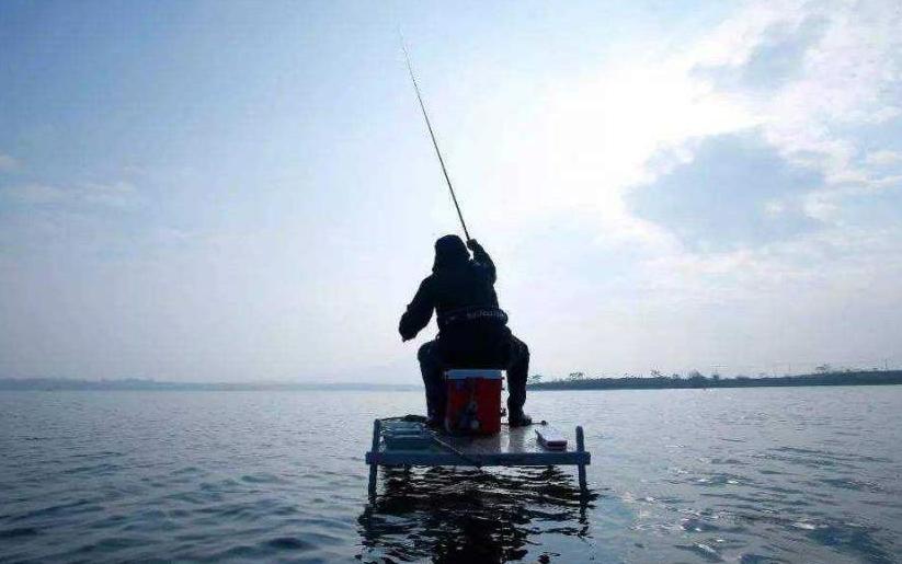 各种常见淡水鱼价格排名,常见淡水鱼大全钓友值得收藏