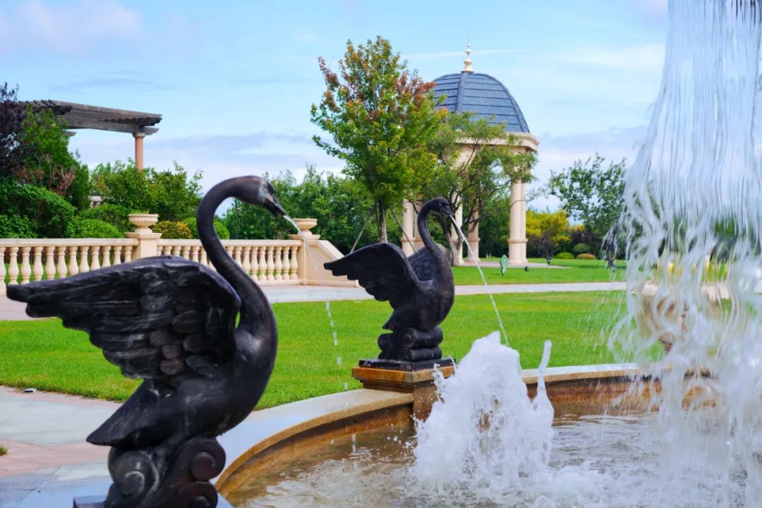 来大连住这里,每天都是海景富翁