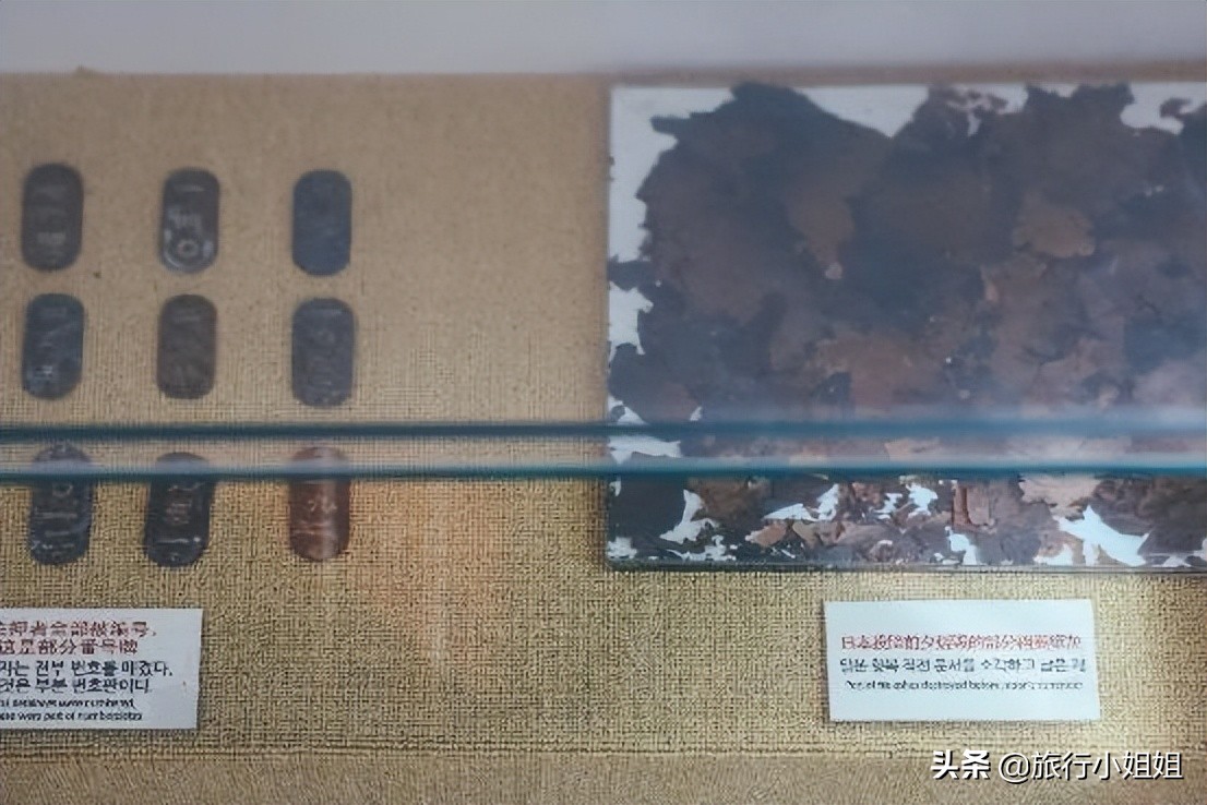 夏日海边微醺氛围感,滨城风光秀丽浪漫气息爆表