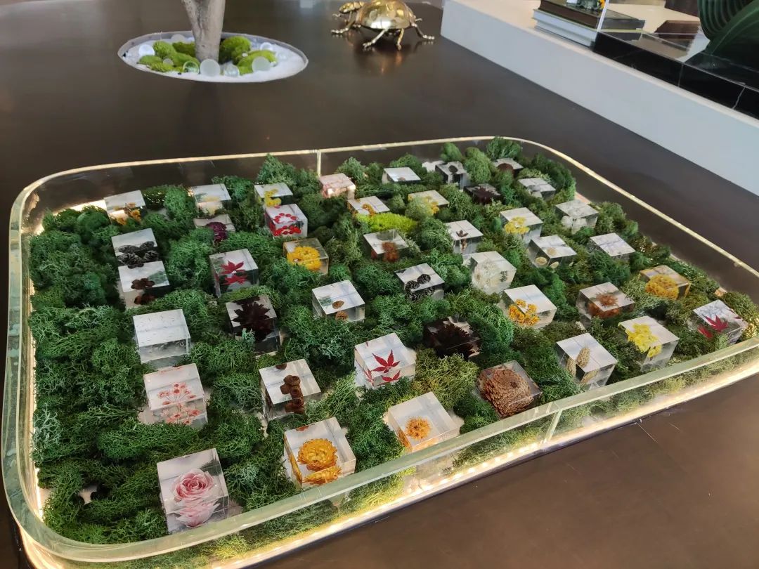 龙湖116洋房四叶草户型,南京龙湖四叶草户型