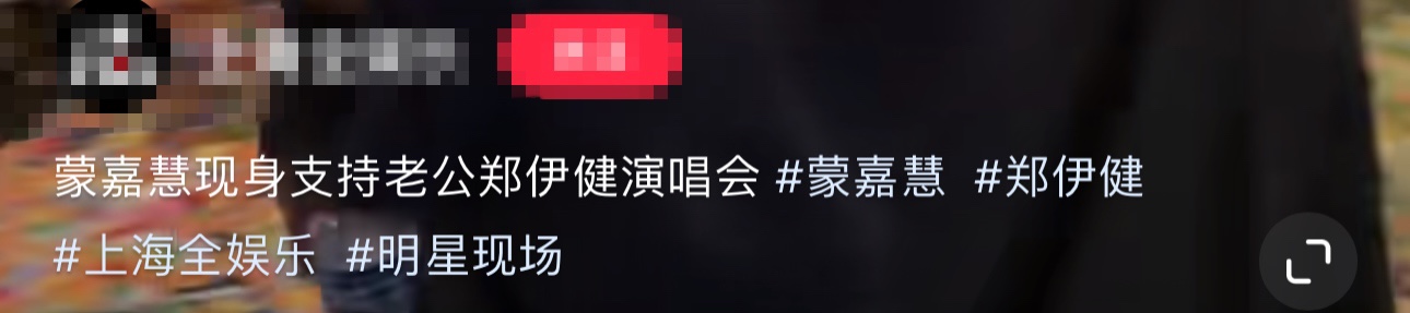 蒙嘉慧演唱会,蒙嘉慧和丈夫