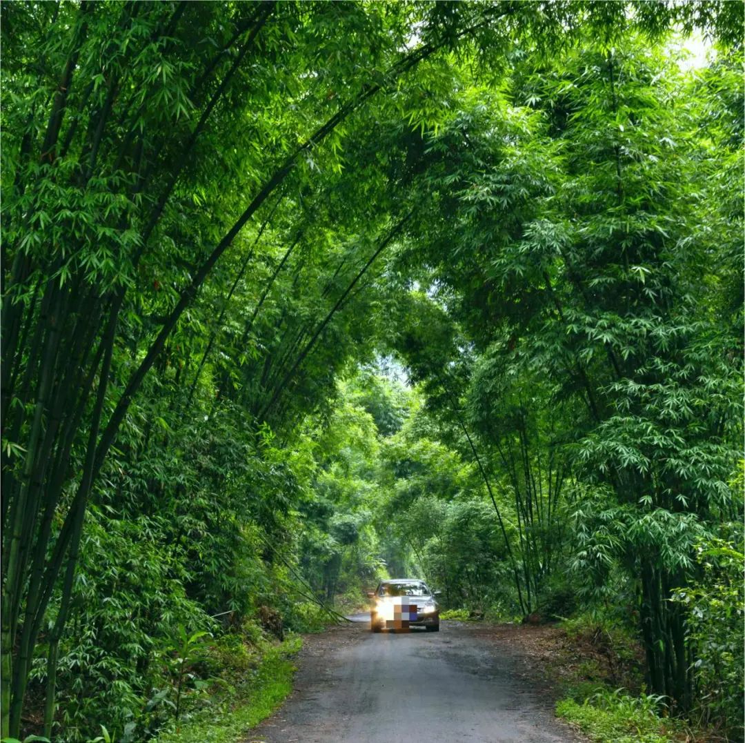 超燃多巴胺彩虹跑,多巴胺超燃视频