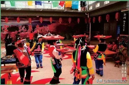 花博会云南,花博会来了