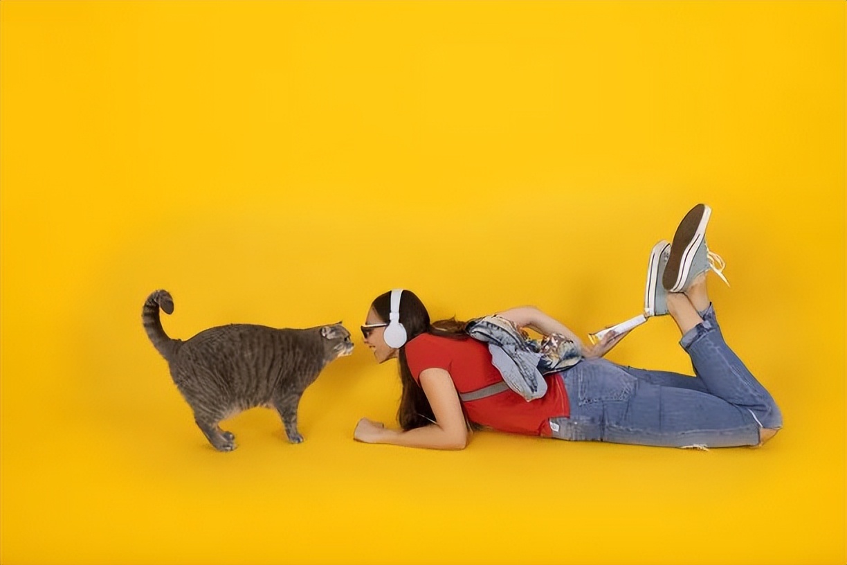 养猫新手注意事项,猫怎么养新手养猫需注意4大问题