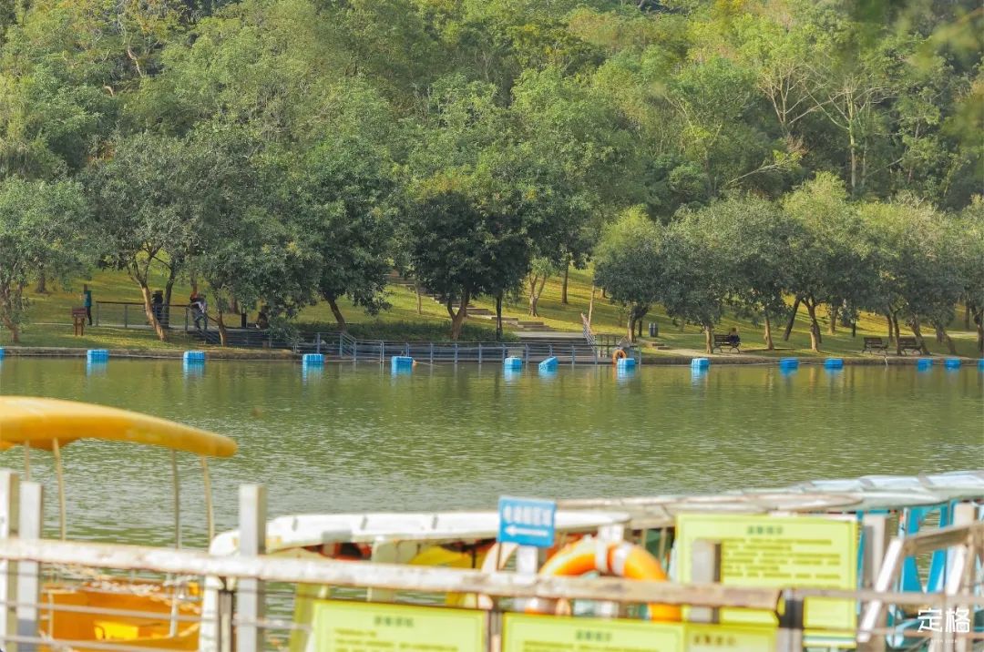 深圳地铁可以直接去的免费景点,深圳免费地铁直达景点12号线