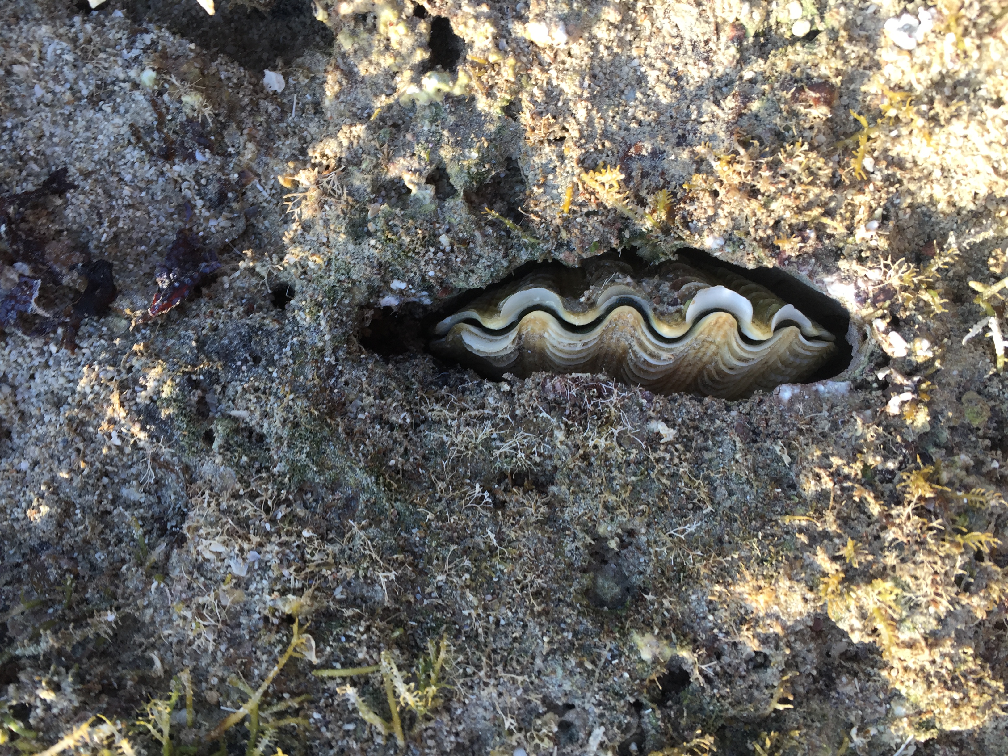 解封了去哪玩?素人推荐