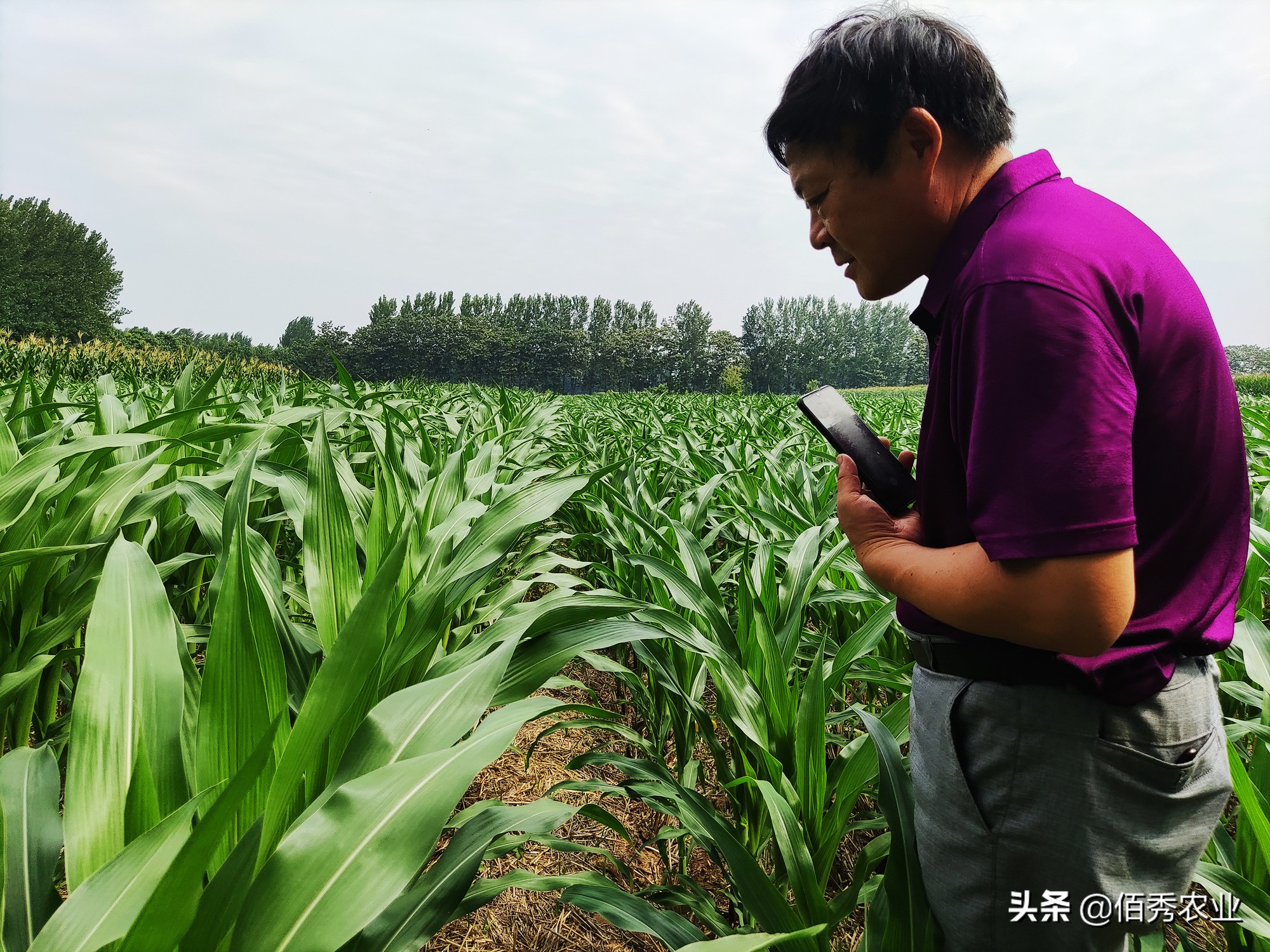 农作物被毁坏怎么解决,农作物被人破坏属于什么案件