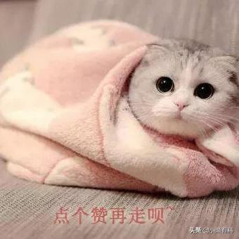 冬天手脚冰凉只需一招,冬天容易手脚冰凉是怎么回事