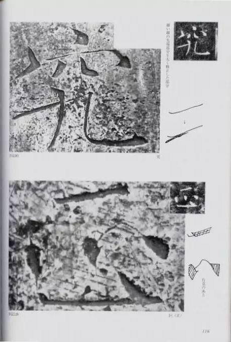 宸ョ瑪鐢绘潹鏅箟鐢诲唽,鏉滈箖鏉ㄦ櫘涔夊畬鏁寸増