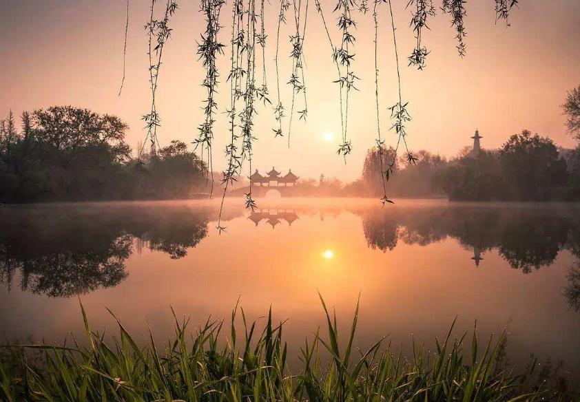 读10首春日诗词充满了希望和力量,最经典早春诗词