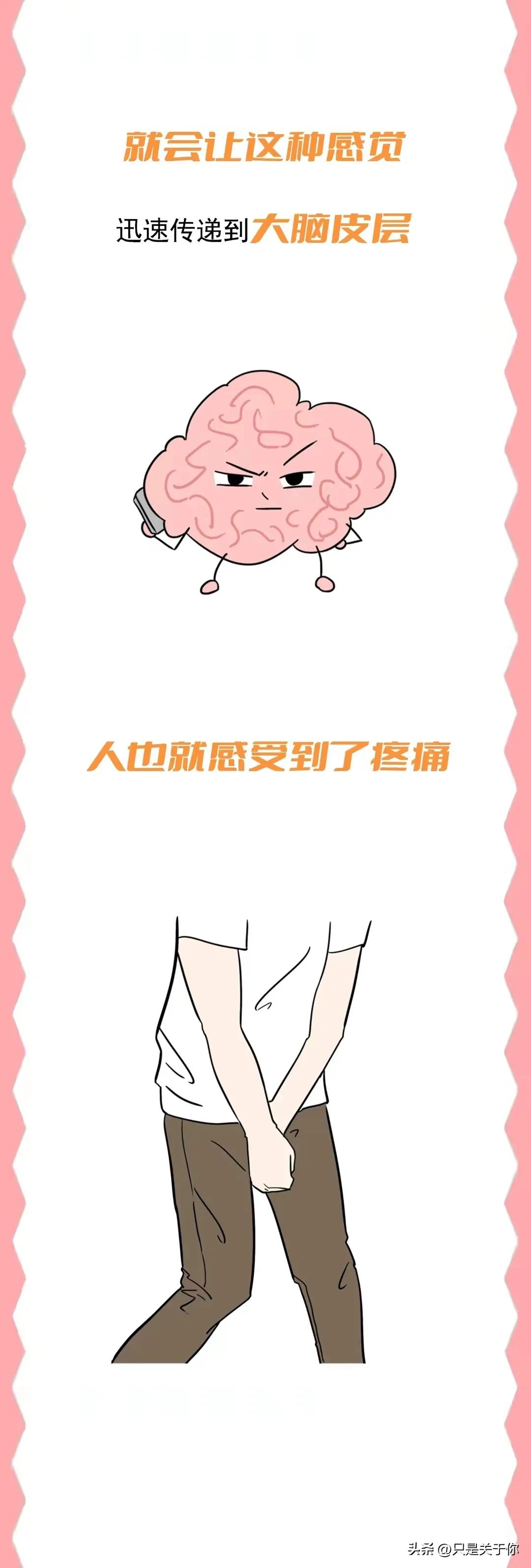 漫画：*处私**受到攻击时，男女谁的痛感更强？