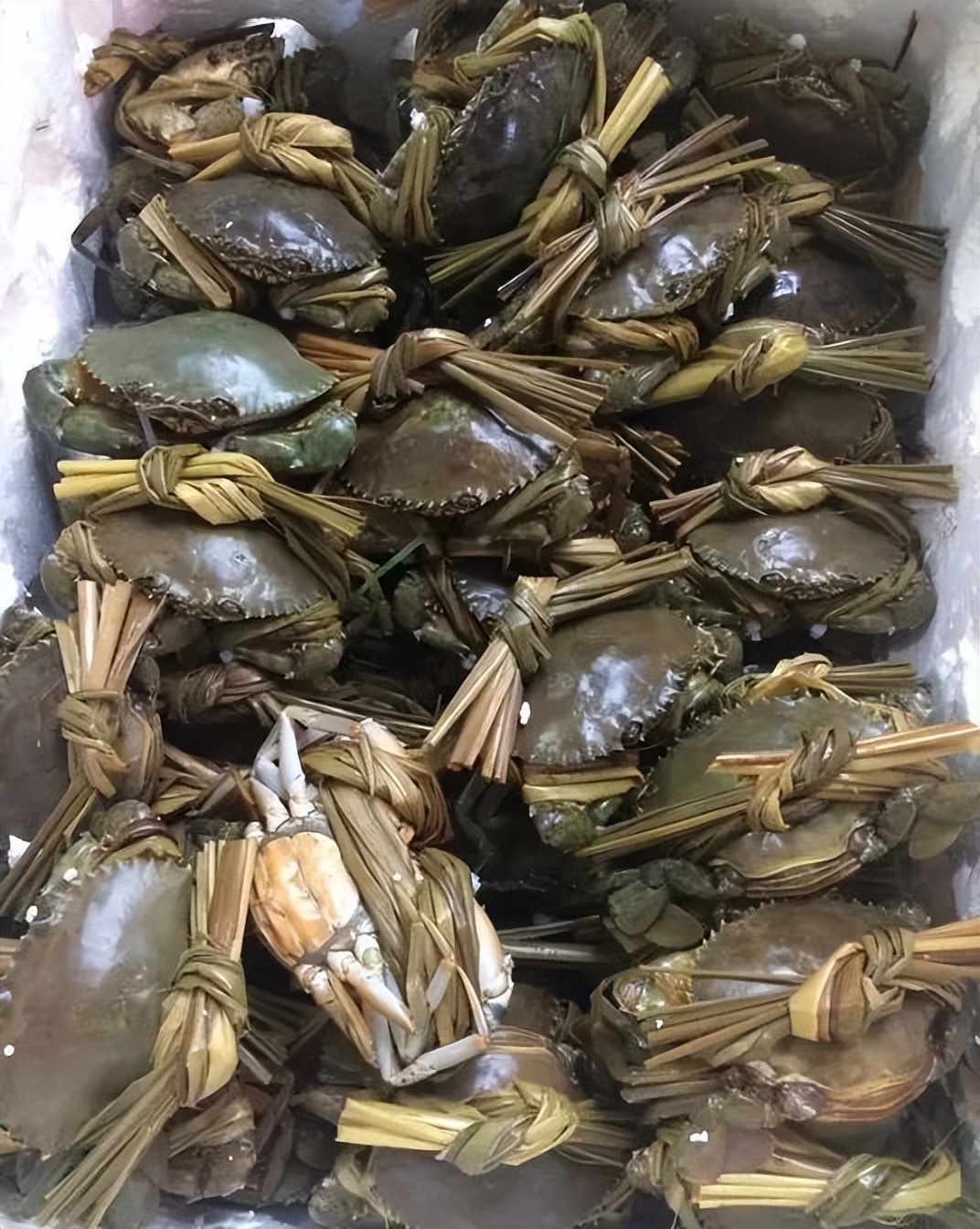 香港海鲜市场生猛海鲜,香港最大水产品市场