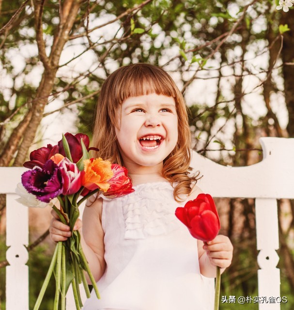 郁金香迫击炮,郁金香水培的正确方法