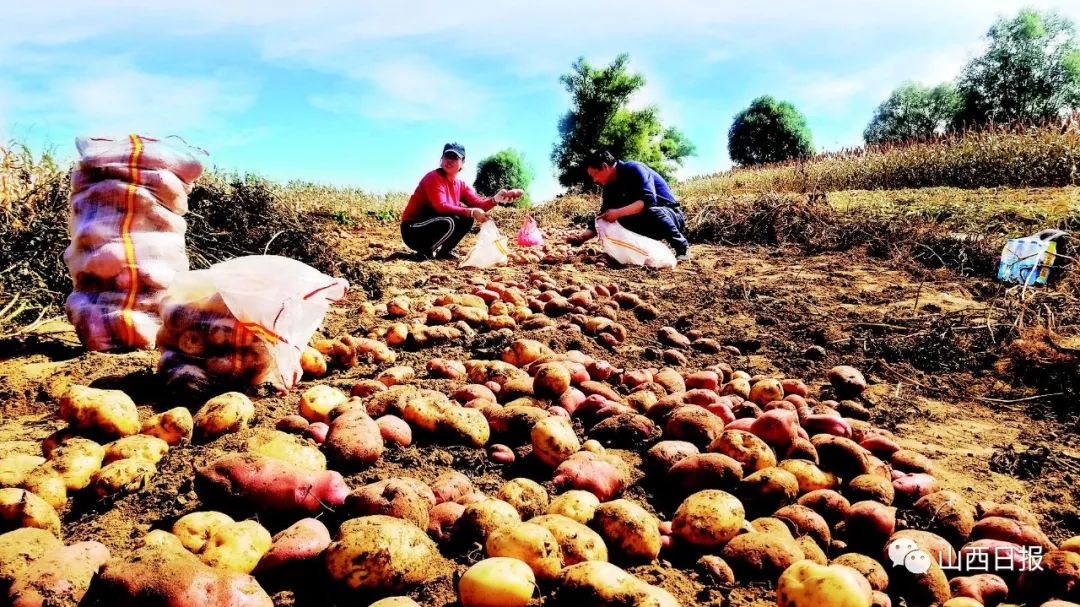 鍦熻眴闈╁懡鍔╁姏涓版敹涓颁骇,鍏ㄧ渷鍔犲伐鍨嬮┈閾冭柉