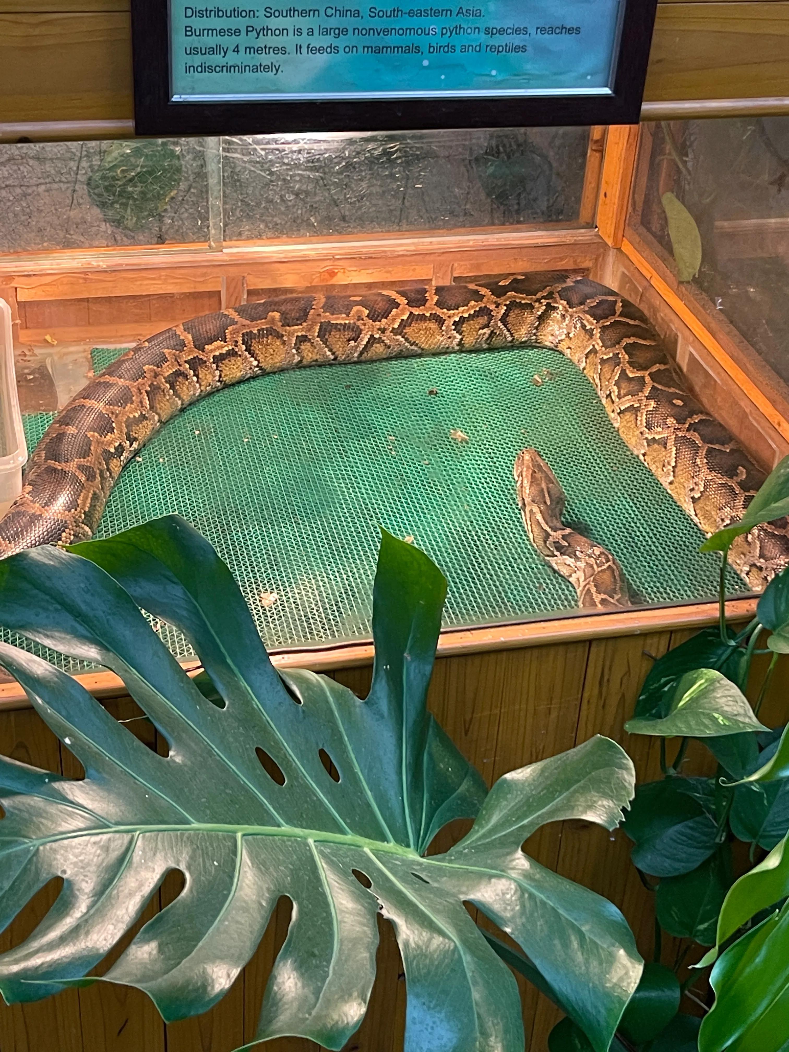 上海大自然野生昆虫博物馆,上海野生昆虫馆门票