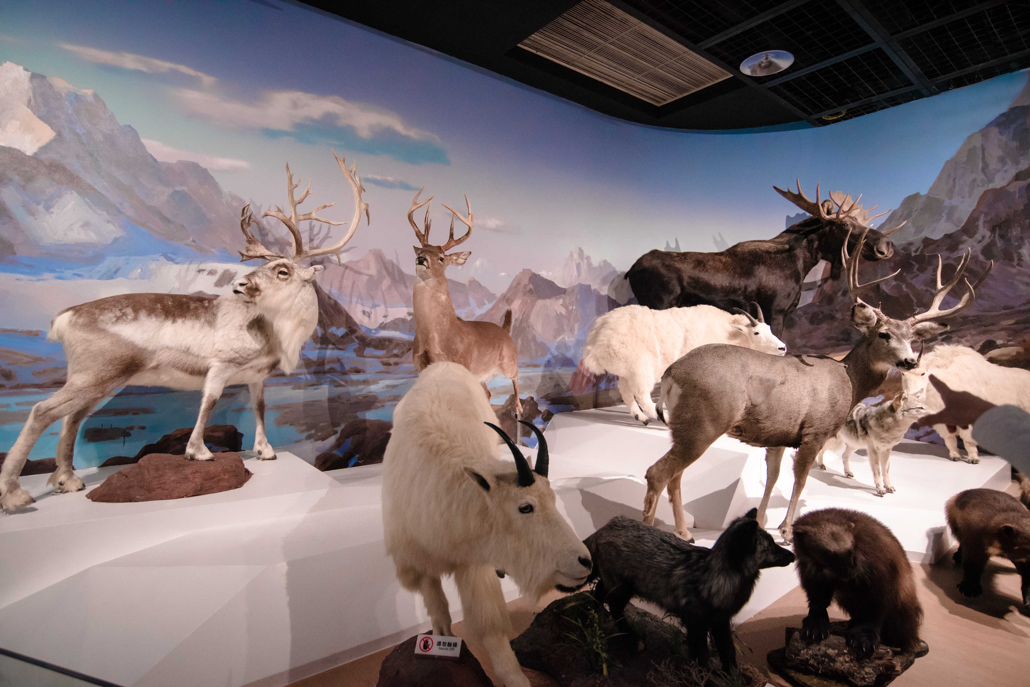 2023西安亲子游景区大全，30多个遛娃宝地，很多都免费