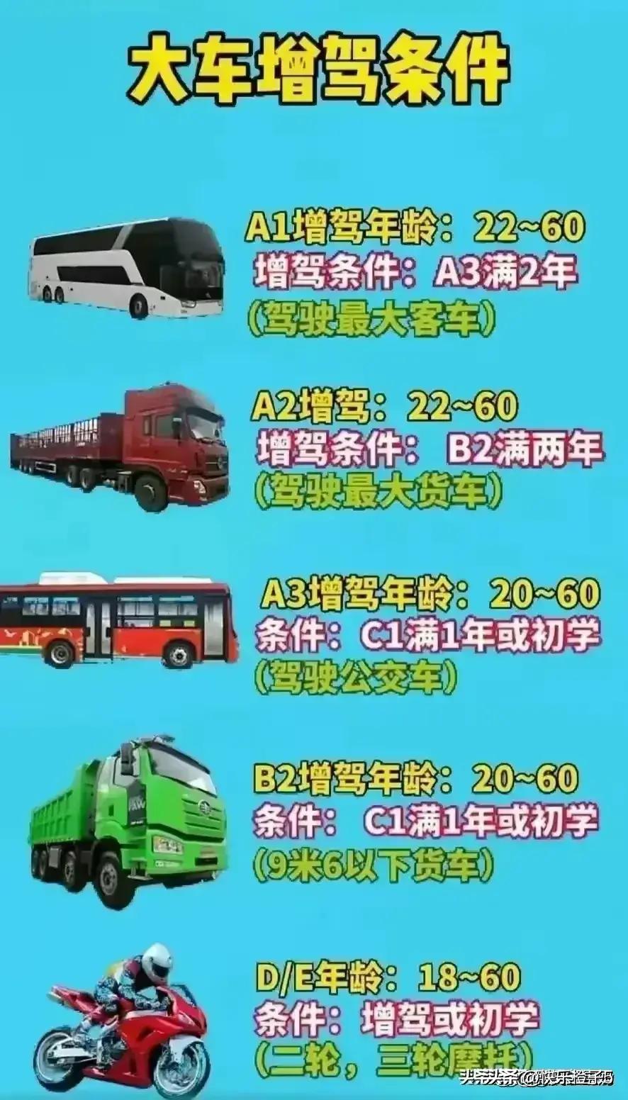 新手司机，车牌号选号讲究，涨知识了，收藏起来看看