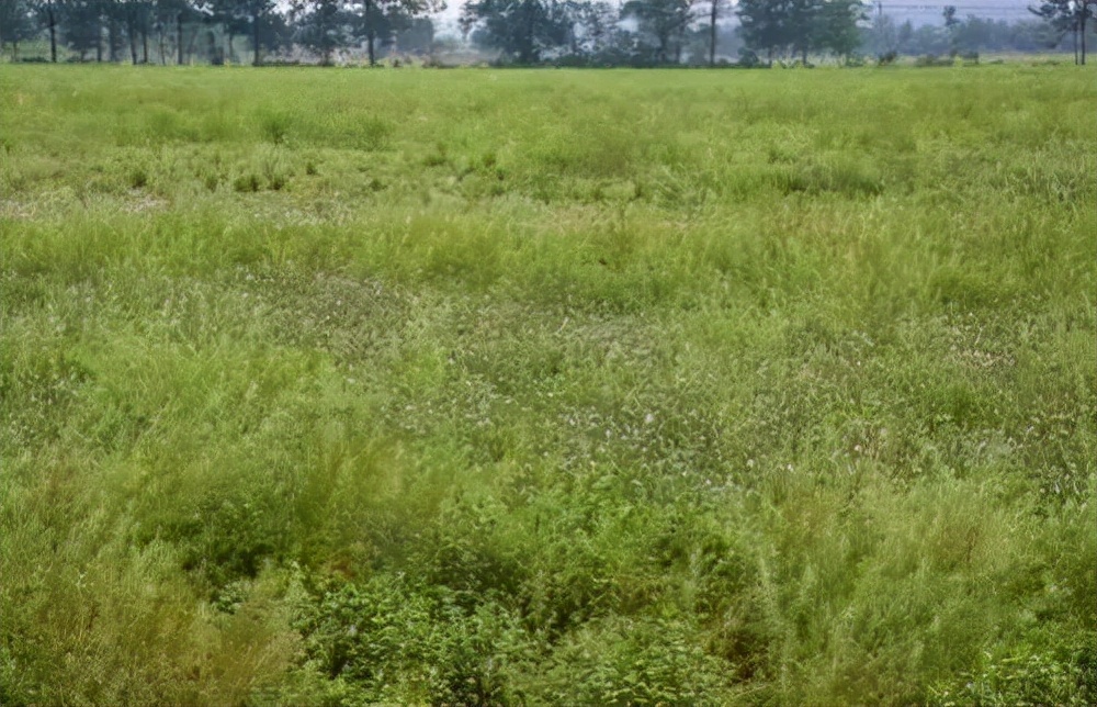 43岁男人负债2000万,内蒙古男子欠债5000万