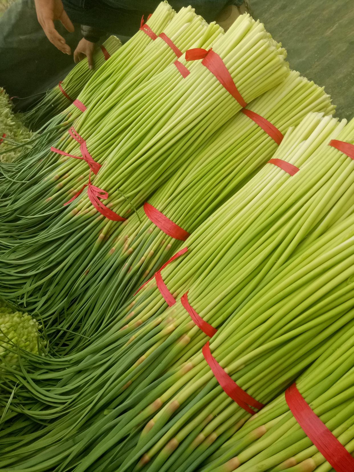 转告家人5种蔬菜比槟榔致癌更高,比槟榔致癌率还高的食物