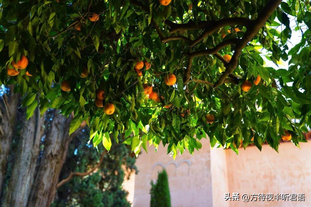 阿尔罕布拉宫精美之处,阿尔罕布拉宫的回忆绝美