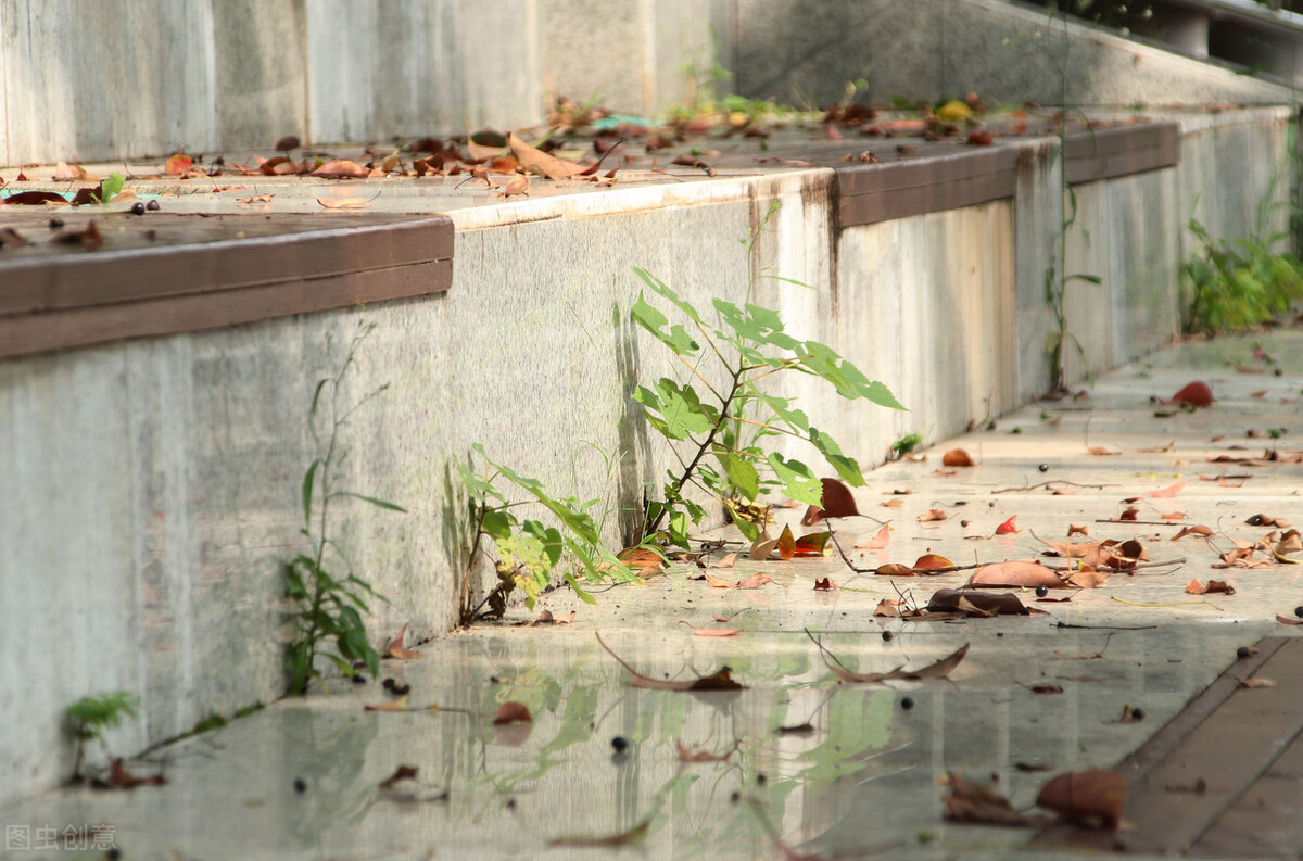 口碑好的职业学校学什么有前途,行业内认可度高的学校