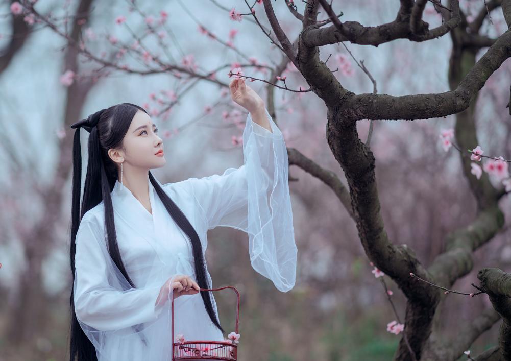 古代最经典的成语有哪些,来自古代诗文的成语有哪些