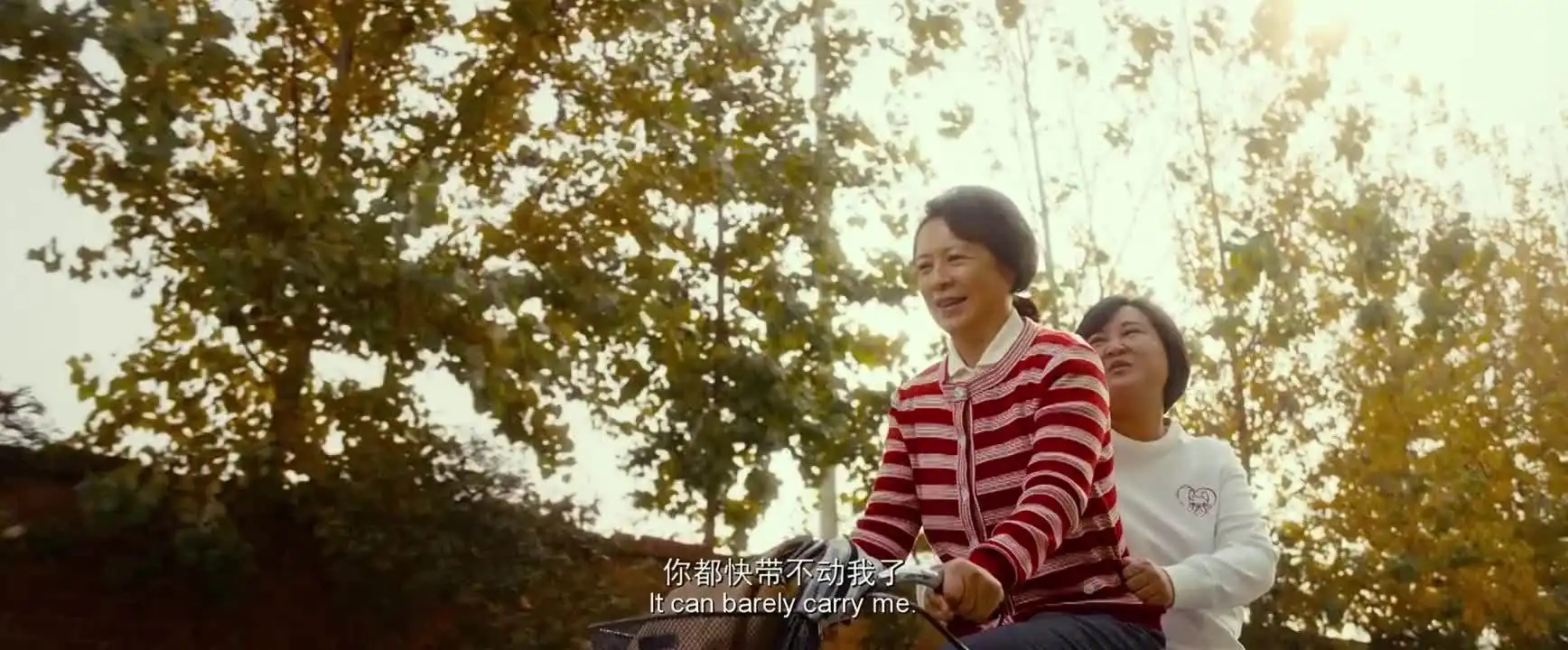 李冰冰全球票房,李冰冰电影票房