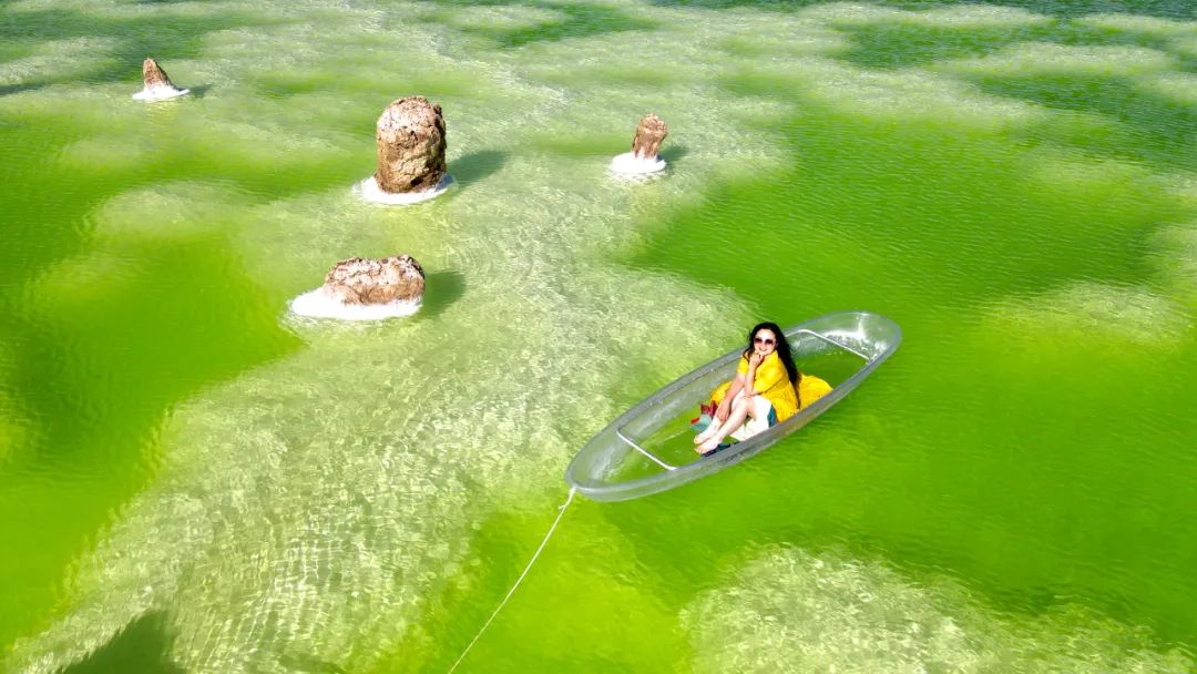 夏天哪里看油菜花最美,夏天去哪里看油菜花最好