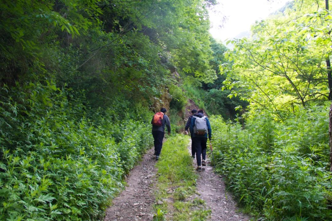 寻访秦岭古村落的感受,探秘秦岭最美空中村落犁辕坪