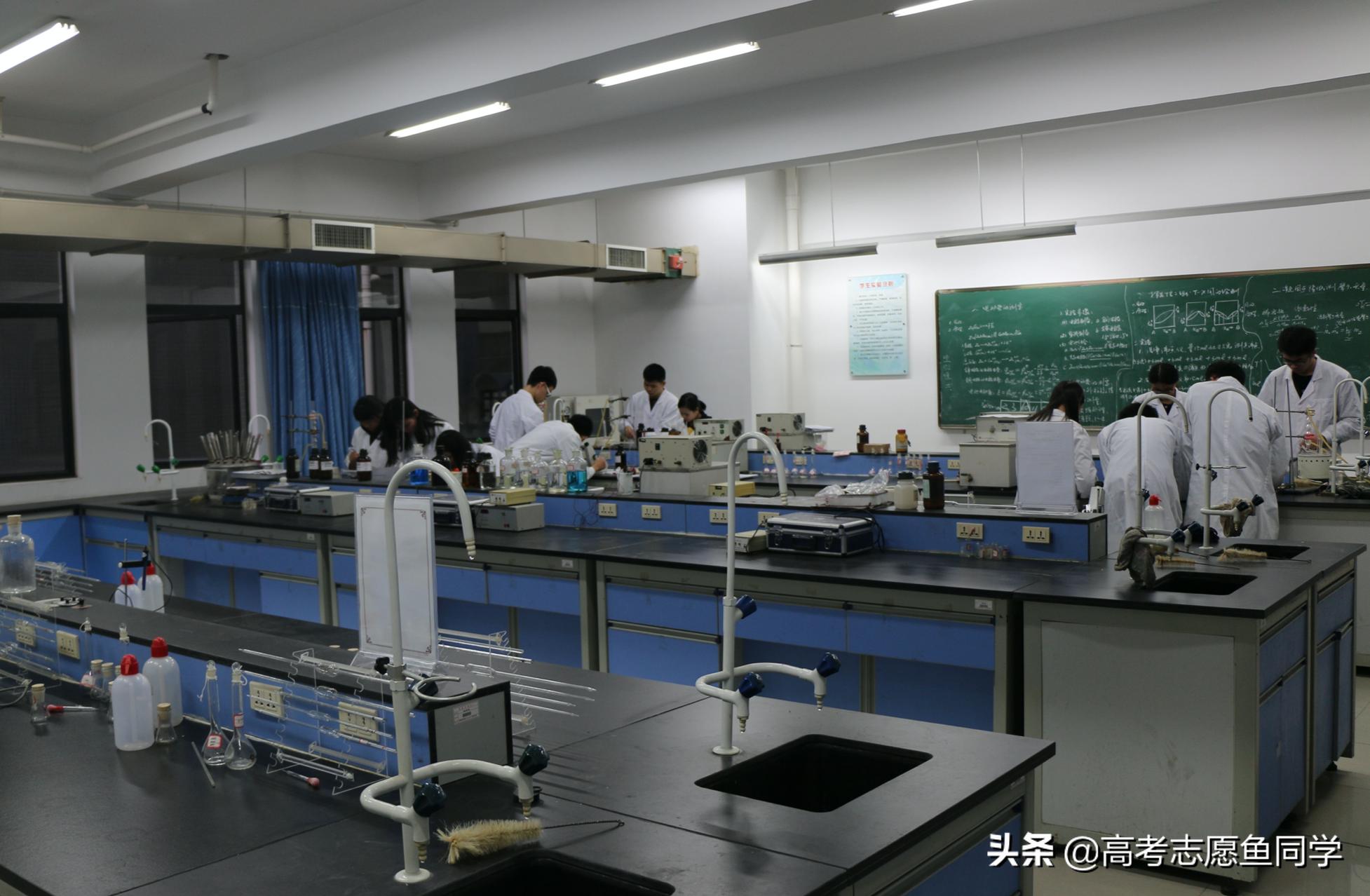 毕业好就业不用读研的三大专业,本科难就业