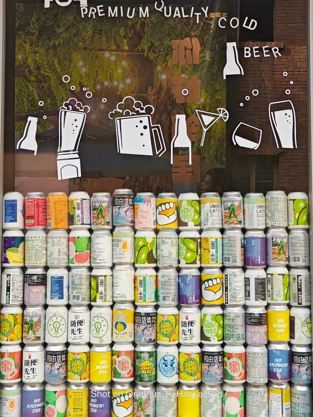 一加11拍照到底怎么样最新评测,一加11拍照远摄表现