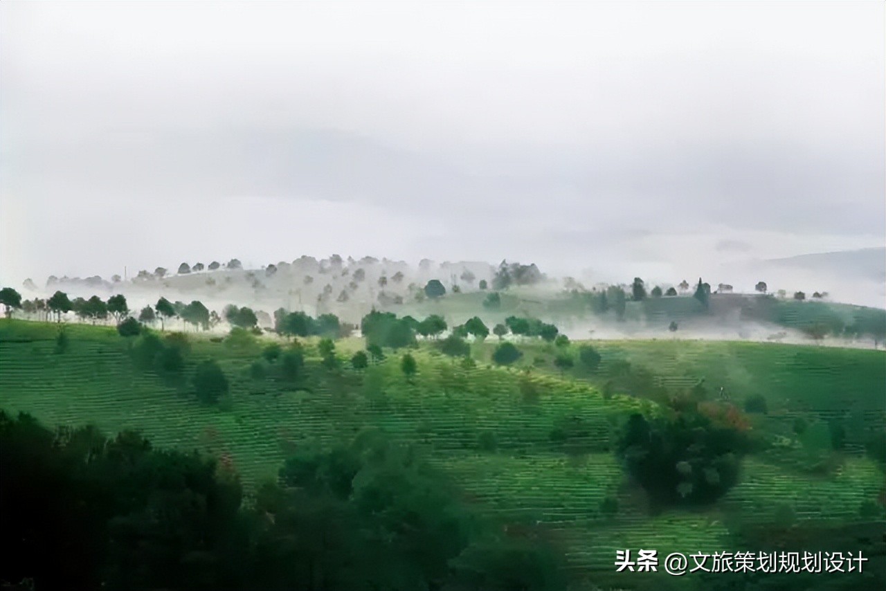 茶产业田园综合体,康养田园综合体规划设计