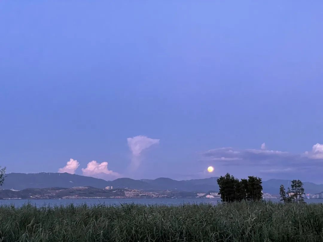 云南大理山,云南一日游日记