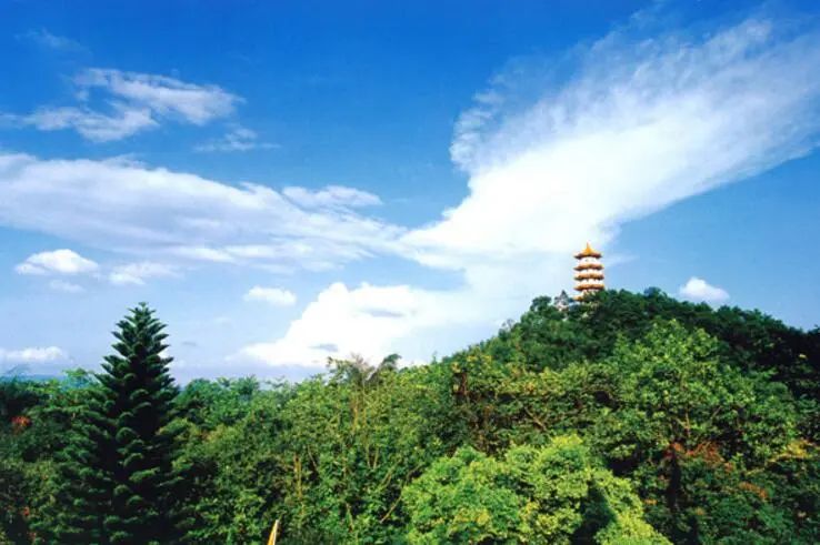 广东肇庆七星岩景区一日游,肇庆紫云谷一日游